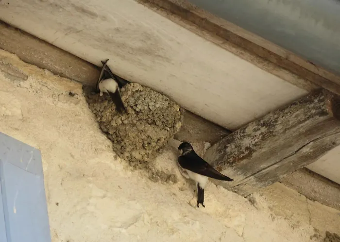 La Maison De Riviere * Bourg-Charente